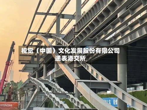 视觉（中国）文化发展股份有限公司递表港交所