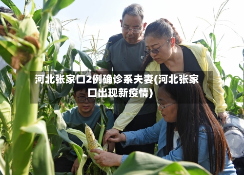 河北张家口2例确诊系夫妻(河北张家口出现新疫情)