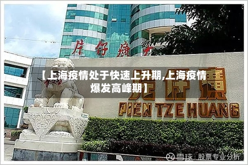 【上海疫情处于快速上升期,上海疫情爆发高峰期】-第3张图片