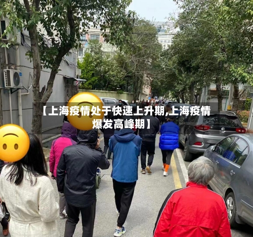 【上海疫情处于快速上升期,上海疫情爆发高峰期】-第2张图片