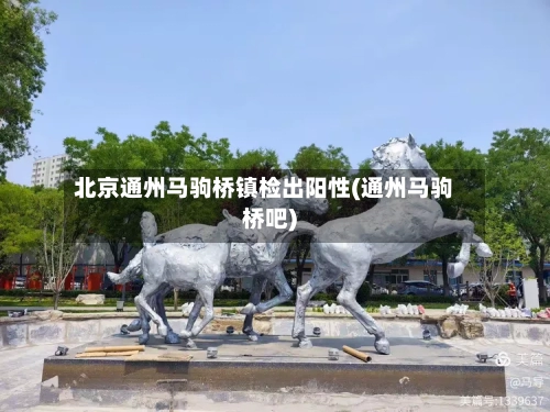 北京通州马驹桥镇检出阳性(通州马驹桥吧)-第2张图片