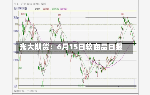 光大期货：6月15日软商品日报