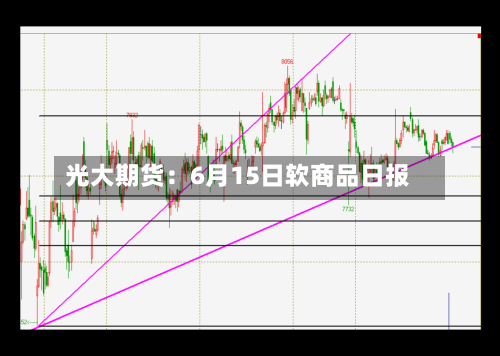 光大期货：6月15日软商品日报-第2张图片