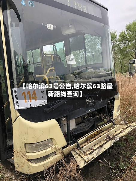 【哈尔滨63号公告,哈尔滨63路最新路线查询】-第3张图片