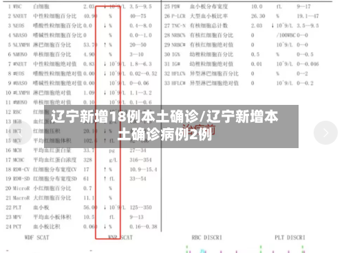 辽宁新增18例本土确诊/辽宁新增本土确诊病例2例