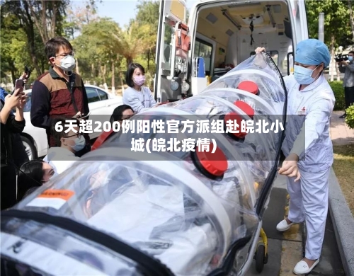 6天超200例阳性官方派组赴皖北小城(皖北疫情)