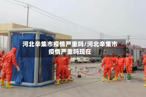 河北辛集市疫情严重吗/河北辛集市疫情严重吗现在-第2张图片