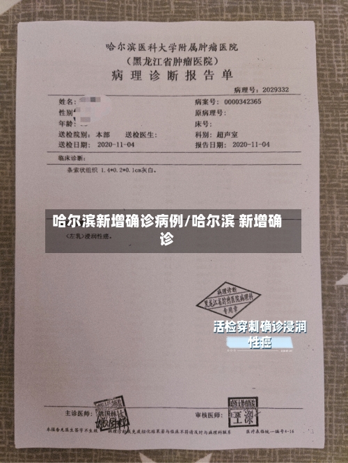 哈尔滨新增确诊病例/哈尔滨 新增确诊