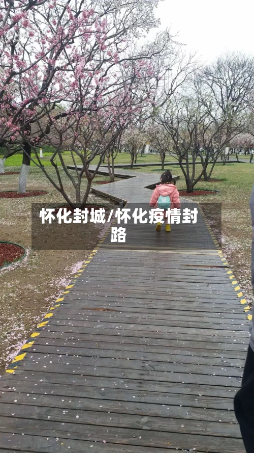 怀化封城/怀化疫情封路-第2张图片