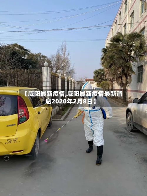 【咸阳最新疫情,咸阳最新疫情最新消息2020年2月8日】-第3张图片