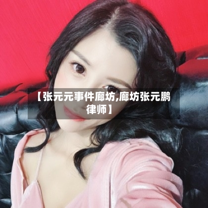 【张元元事件廊坊,廊坊张元鹏律师】-第3张图片