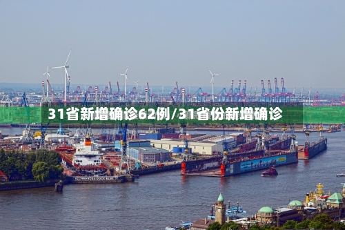31省新增确诊62例/31省份新增确诊-第2张图片