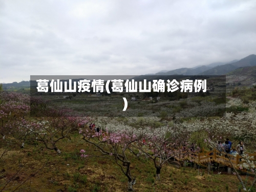葛仙山疫情(葛仙山确诊病例)-第2张图片
