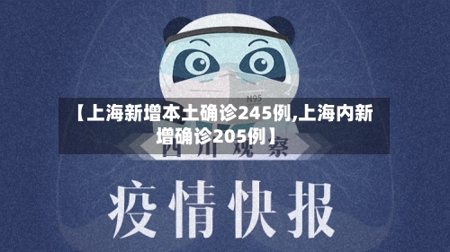 【上海新增本土确诊245例,上海内新增确诊205例】-第2张图片
