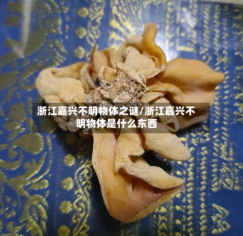 浙江嘉兴不明物体之谜/浙江嘉兴不明物体是什么东西