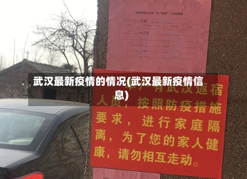 武汉最新疫情的情况(武汉最新疫情信息)-第2张图片