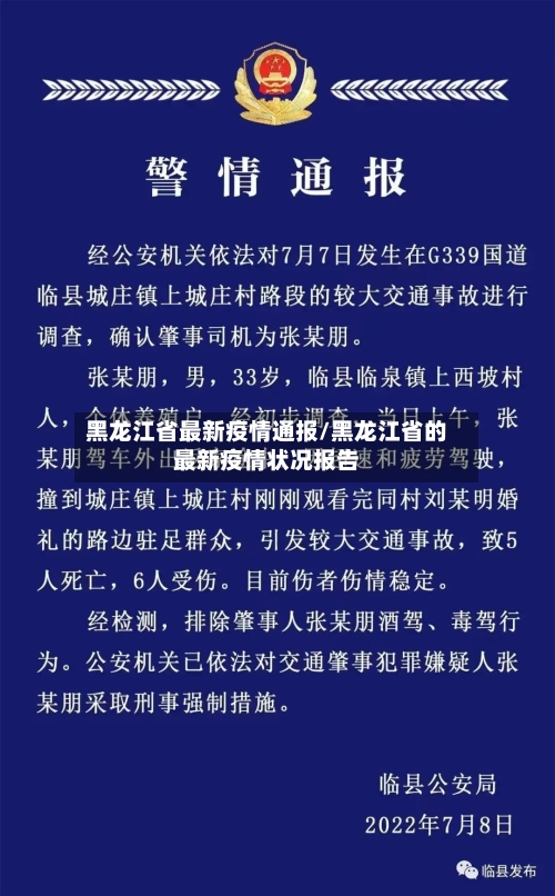 黑龙江省最新疫情通报/黑龙江省的最新疫情状况报告-第2张图片