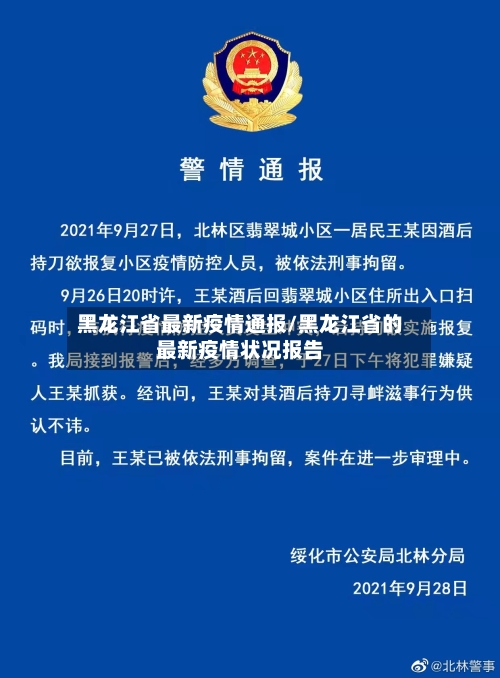 黑龙江省最新疫情通报/黑龙江省的最新疫情状况报告-第3张图片