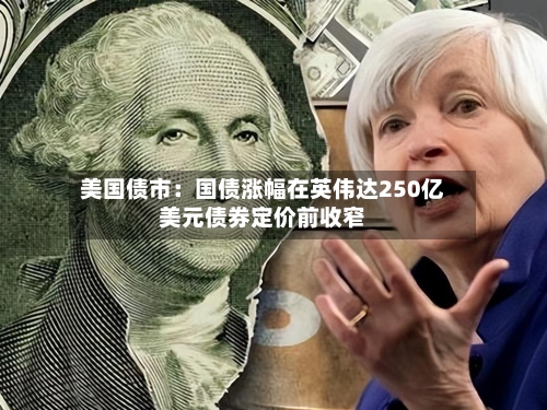 美国债市:国债涨幅在英伟达250亿美元债券定价前收窄-第2张图片