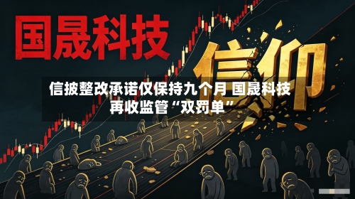 信披整改承诺仅保持九个月 国晟科技再收监管“双罚单”-第2张图片