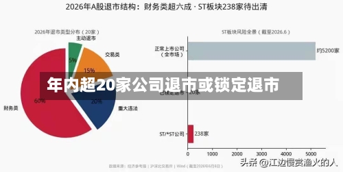 年内超20家公司退市或锁定退市-第2张图片