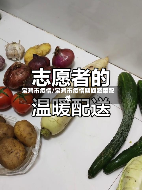 宝鸡市疫情/宝鸡市疫情期间蔬菜配送
