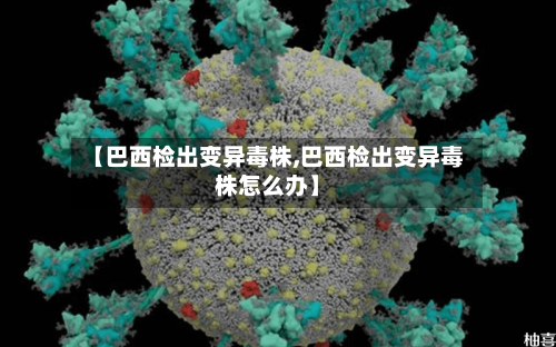 【巴西检出变异毒株,巴西检出变异毒株怎么办】