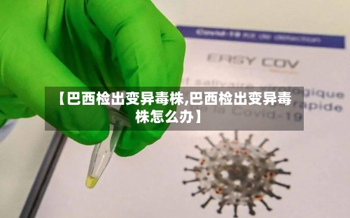 【巴西检出变异毒株,巴西检出变异毒株怎么办】-第2张图片