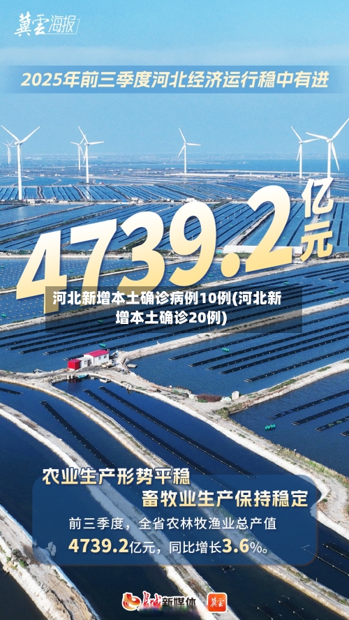 河北新增本土确诊病例10例(河北新增本土确诊20例)