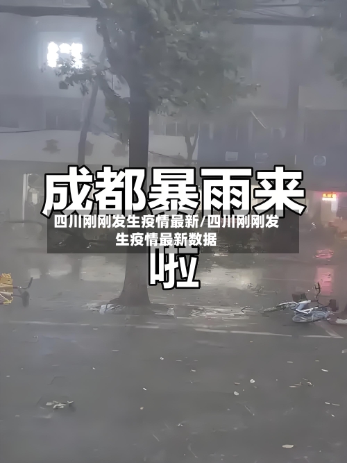 四川刚刚发生疫情最新/四川刚刚发生疫情最新数据-第2张图片
