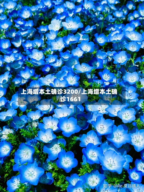 上海增本土确诊3200/上海增本土确诊1661-第3张图片