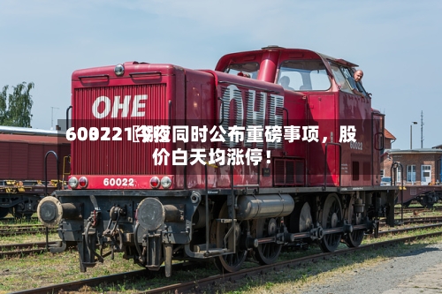 60022〖捌〗、603721今夜同时公布重磅事项，股价白天均涨停！