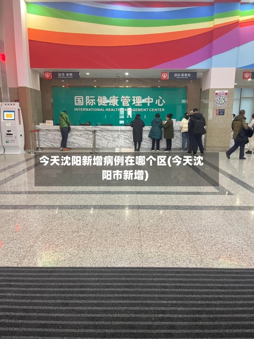 今天沈阳新增病例在哪个区(今天沈阳市新增)-第2张图片