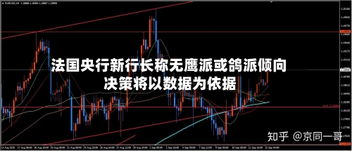 法国央行新行长称无鹰派或鸽派倾向 决策将以数据为依据-第3张图片