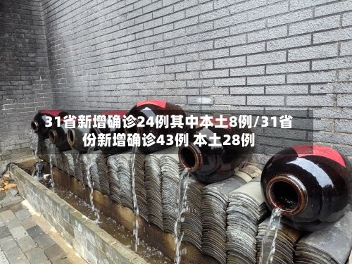 31省新增确诊24例其中本土8例/31省份新增确诊43例 本土28例
