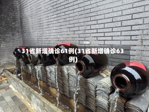 31省新增确诊61例(31省新增确诊63例)