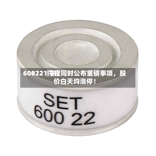 60022〖捌〗、603721今夜同时公布重磅事项，股价白天均涨停！