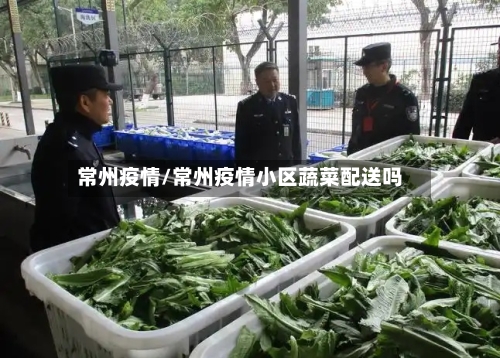 常州疫情/常州疫情小区蔬菜配送吗-第3张图片