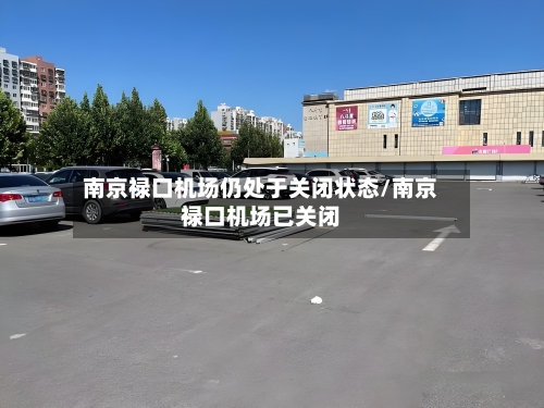 南京禄口机场仍处于关闭状态/南京禄口机场已关闭-第3张图片