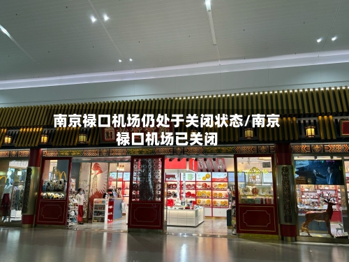 南京禄口机场仍处于关闭状态/南京禄口机场已关闭-第2张图片