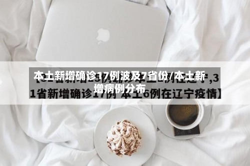本土新增确诊17例波及7省份/本土新增病例分布
