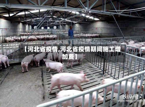 【河北省疫情,河北省疫情期间施工增加费】