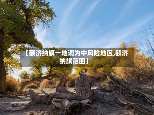 【额济纳旗一地调为中风险地区,额济纳旗范围】