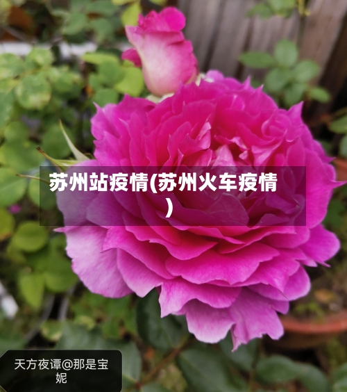 苏州站疫情(苏州火车疫情)-第2张图片