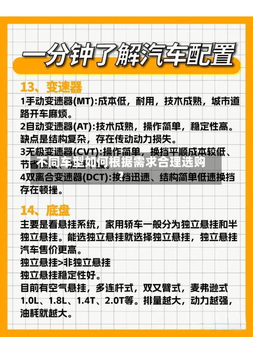 不同车型如何根据需求合理选购？
