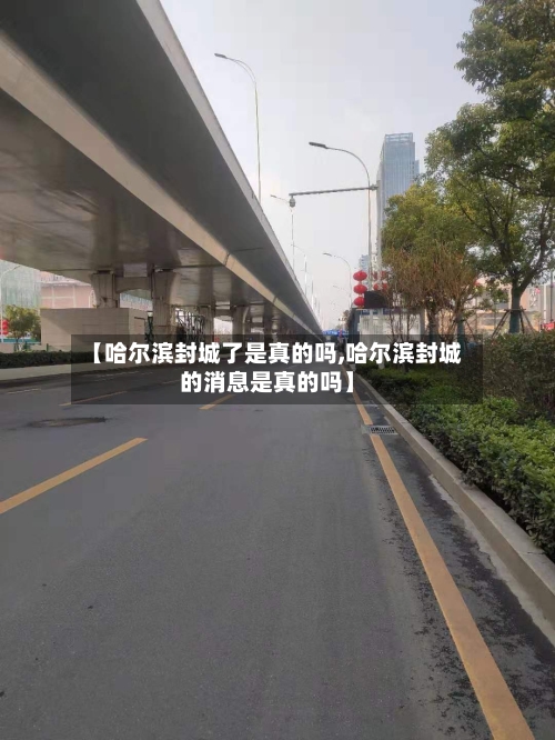 【哈尔滨封城了是真的吗,哈尔滨封城的消息是真的吗】-第2张图片