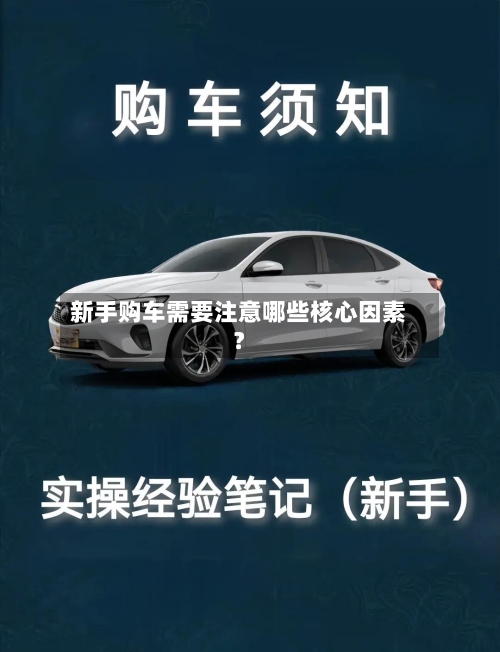 新手购车需要注意哪些核心因素？-第3张图片