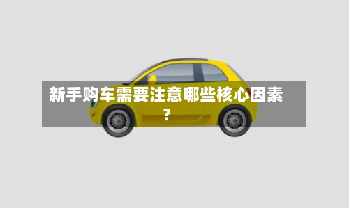 新手购车需要注意哪些核心因素？-第2张图片