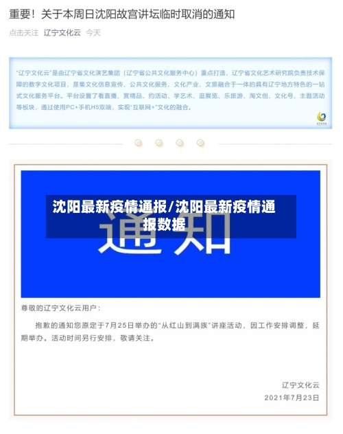 沈阳最新疫情通报/沈阳最新疫情通报数据-第3张图片