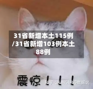 31省新增本土115例/31省新增103例本土88例-第2张图片